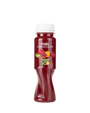FUEL